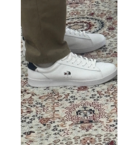 Кроссовки • Lacoste • Белый