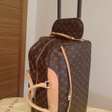 Сумка • Louis Vuitton • Коричневый