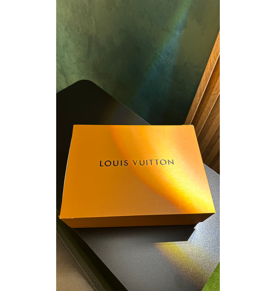 Сумка • Louis Vuitton • Коричневый