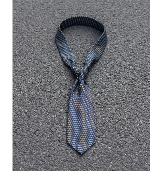 Галстук • Ermenegildo Zegna • Мульти