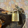 Сумка • Louis Vuitton • Коричневый