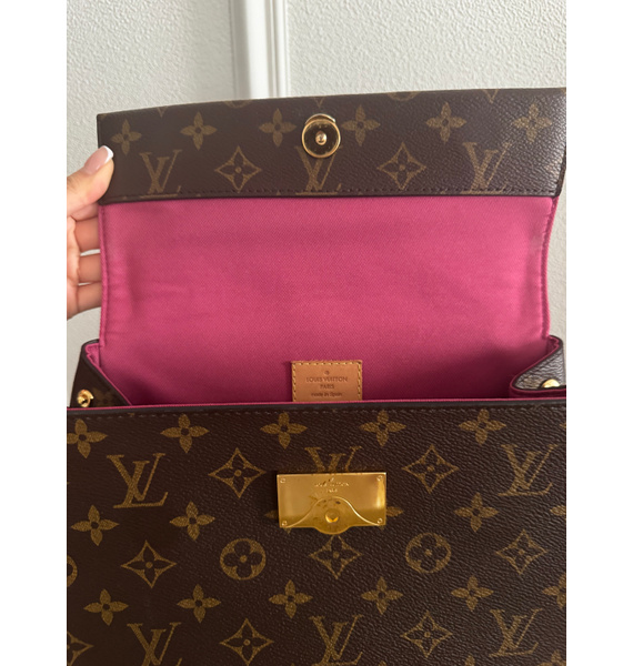 Сумка • Louis Vuitton • Коричневый
