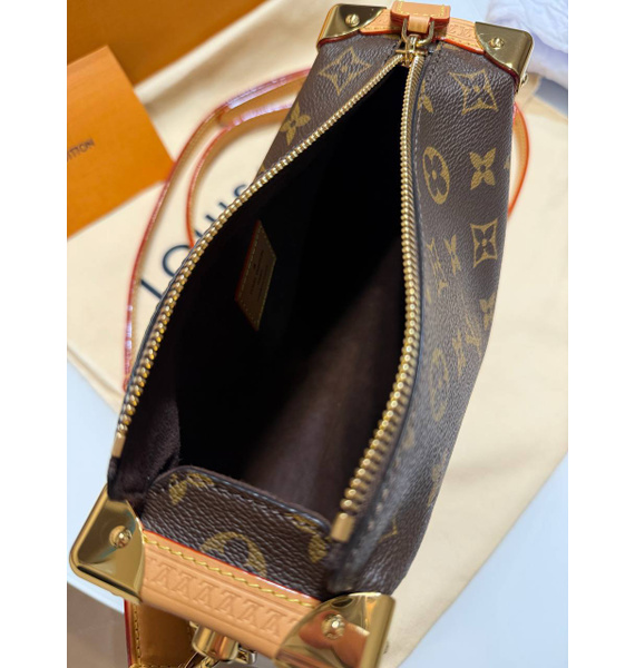 Сумка • Louis Vuitton • Коричневый