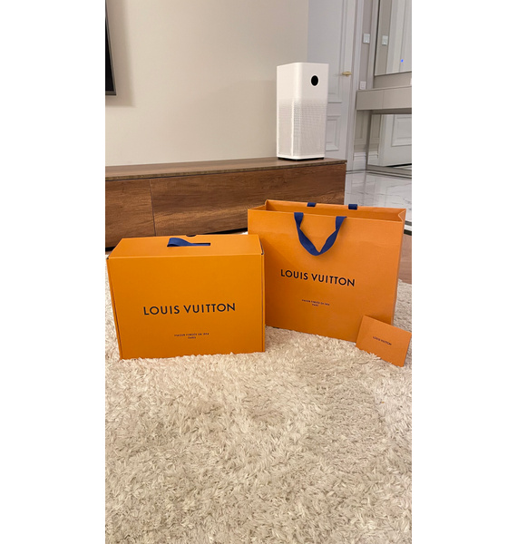 Кроссовки • Louis Vuitton • Коричневый