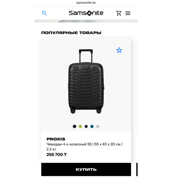 Чемодан • Samsonite • Серый