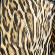 Платье • Roberto Cavalli • Мульти