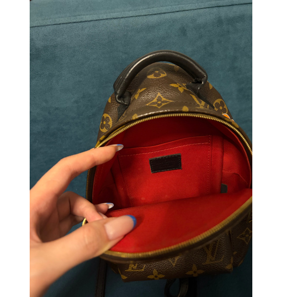 Рюкзак • Louis Vuitton • Коричневый