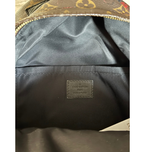 Рюкзак • Louis Vuitton • Коричневый