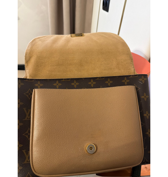 Сумка • Louis Vuitton • Коричневый