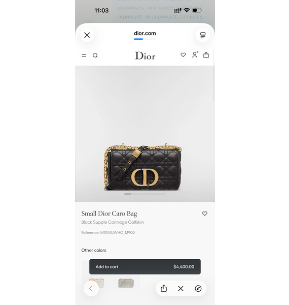 Сумка • Christian Dior • Черный