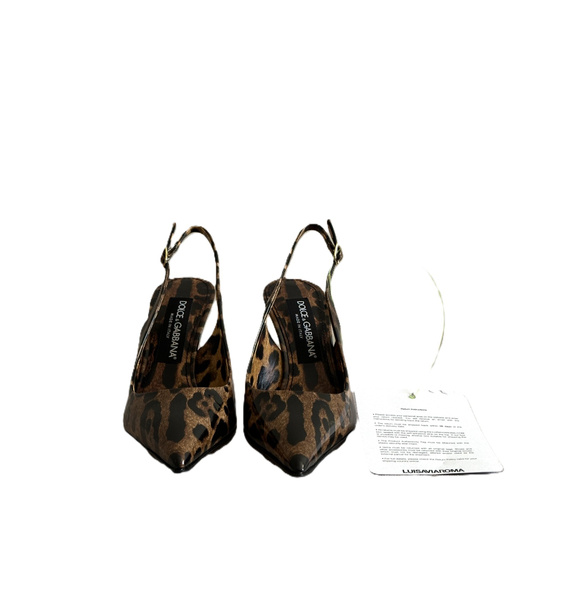 Туфли • Dolce & Gabbana • Коричневый