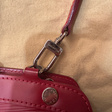 Сумка • Louis Vuitton • Красный