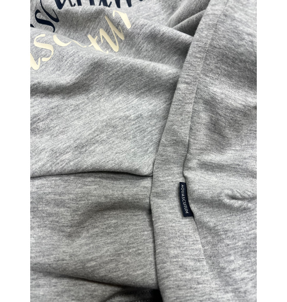 Худи • Aquascutum • Серый