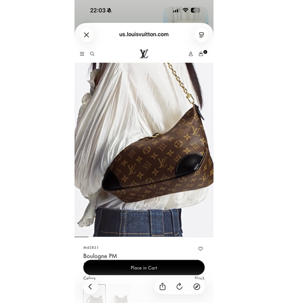 Сумка • Louis Vuitton • Коричневый