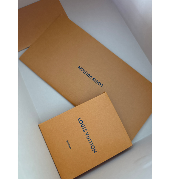 Кроссовки • Louis Vuitton • Черный