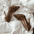 Туфли • Gianvito Rossi • Мульти