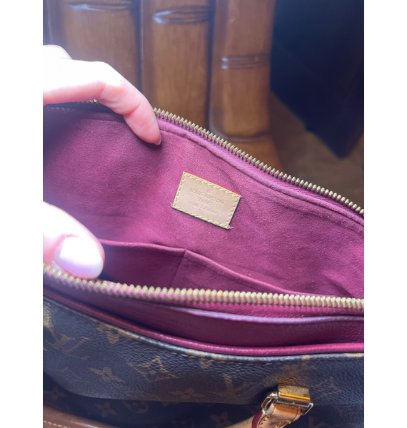 Сумка • Louis Vuitton • Другое