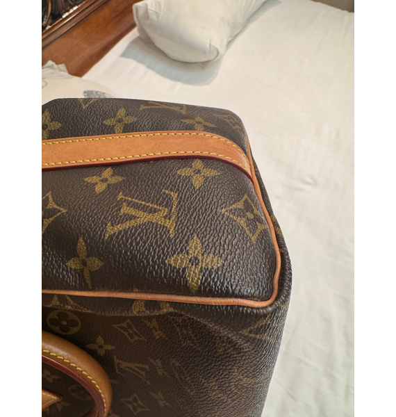 Сумка • Louis Vuitton • Коричневый