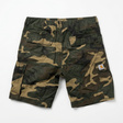 Шорты • Carhartt WIP • Мульти
