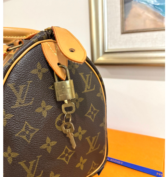 Сумка • Louis Vuitton • Коричневый