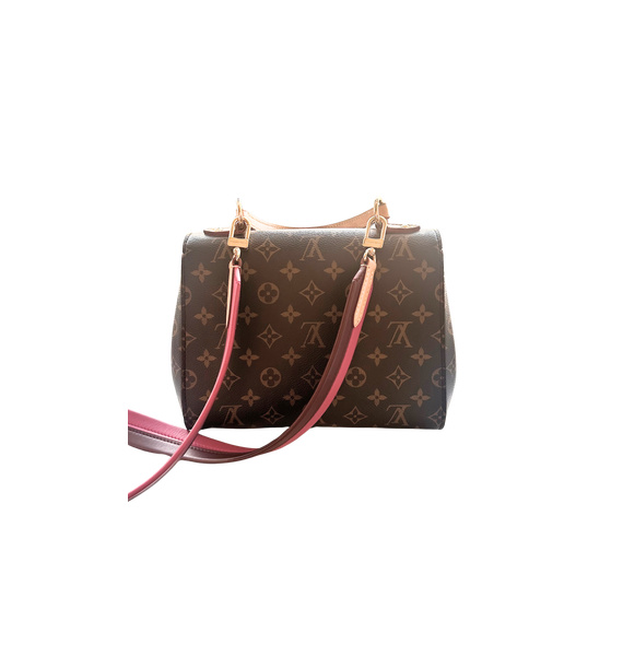 Сумка • Louis Vuitton • Коричневый