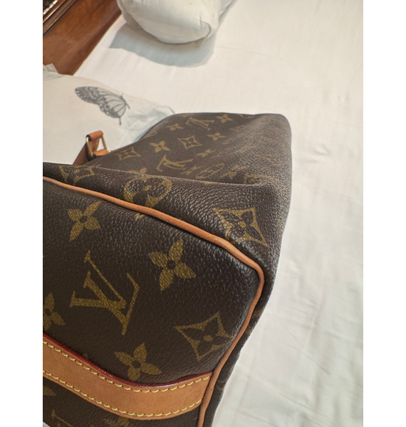 Сумка • Louis Vuitton • Коричневый