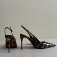Туфли • Dolce & Gabbana • Коричневый