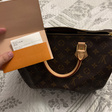 Сумка • Louis Vuitton • Коричневый