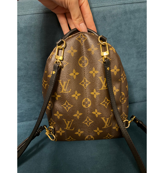 Рюкзак • Louis Vuitton • Коричневый