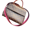 Сумка • Louis Vuitton • Коричневый