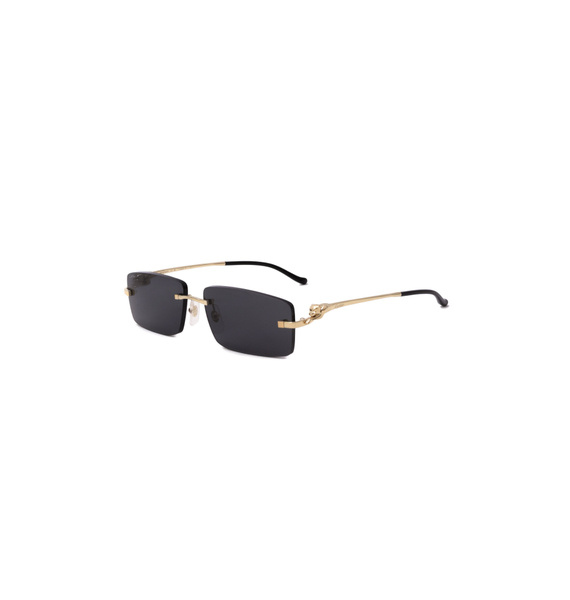 Очки • Cartier Eyewear • Золотой
