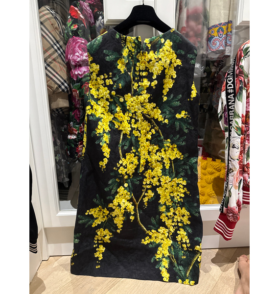 Платье • Dolce & Gabbana • Другое