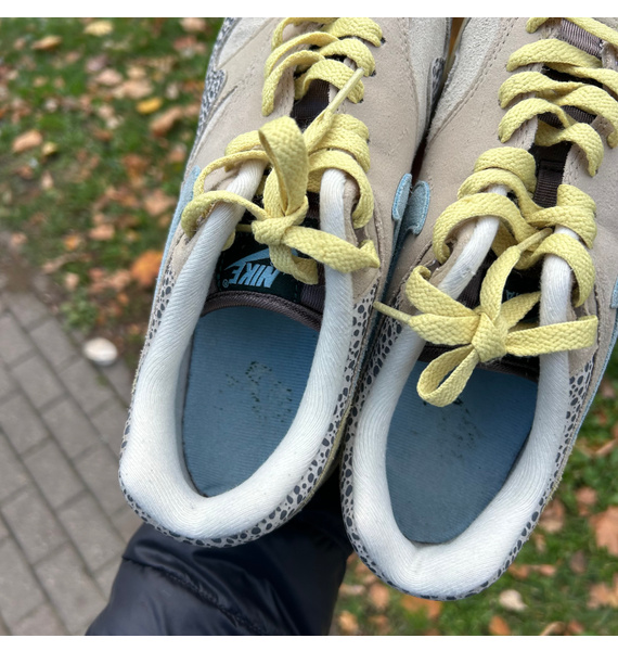 Кроссовки • Nike • Мульти