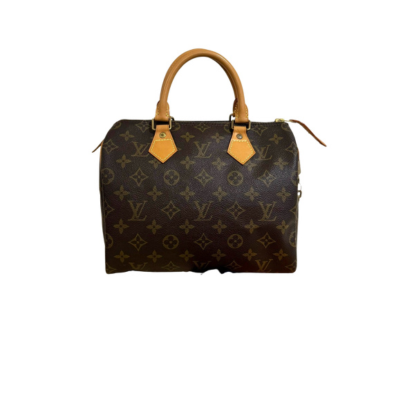 Сумка • Louis Vuitton • Коричневый