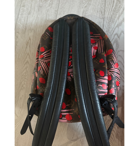 Рюкзак • Louis Vuitton • Коричневый