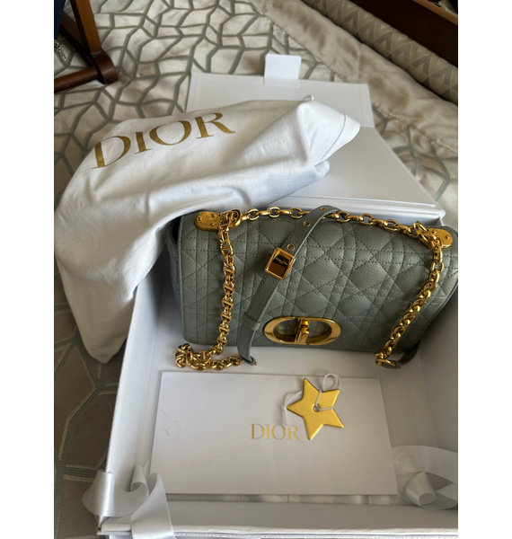 Сумка • Christian Dior • Серый