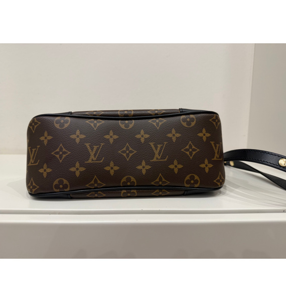 Сумка • Louis Vuitton • Коричневый