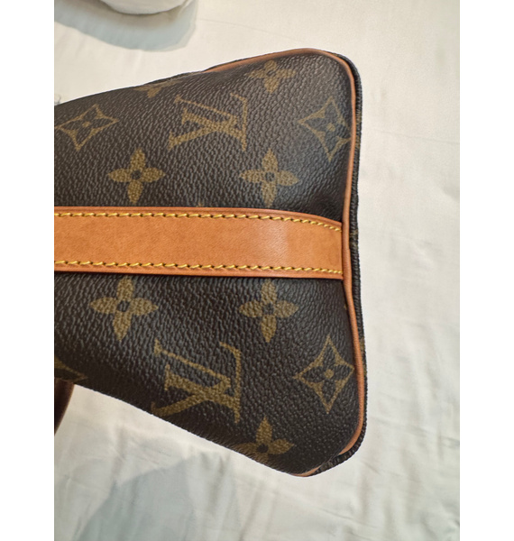 Сумка • Louis Vuitton • Коричневый