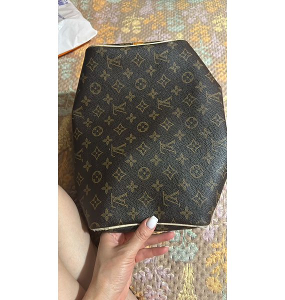 Сумка • Louis Vuitton • Коричневый