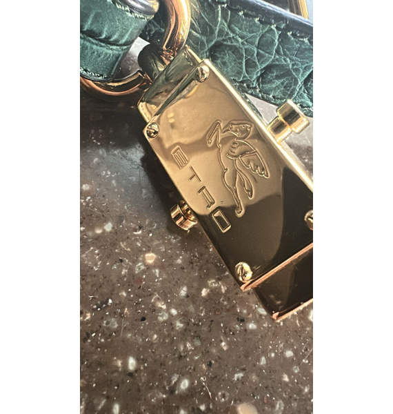 Ремень • ETRO • Зеленый
