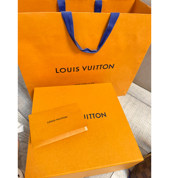 Сумка • Louis Vuitton • Коричневый