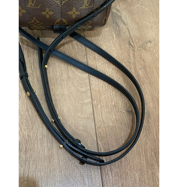 Рюкзак • Louis Vuitton • Коричневый