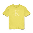 Футболка • Calvin Klein • Желтый