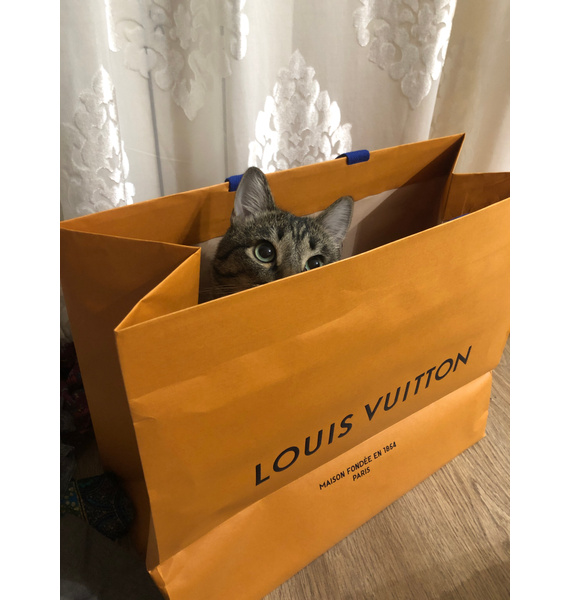 Рюкзак • Louis Vuitton • Коричневый