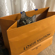 Рюкзак • Louis Vuitton • Коричневый