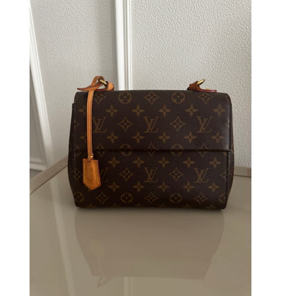 Сумка • Louis Vuitton • Коричневый