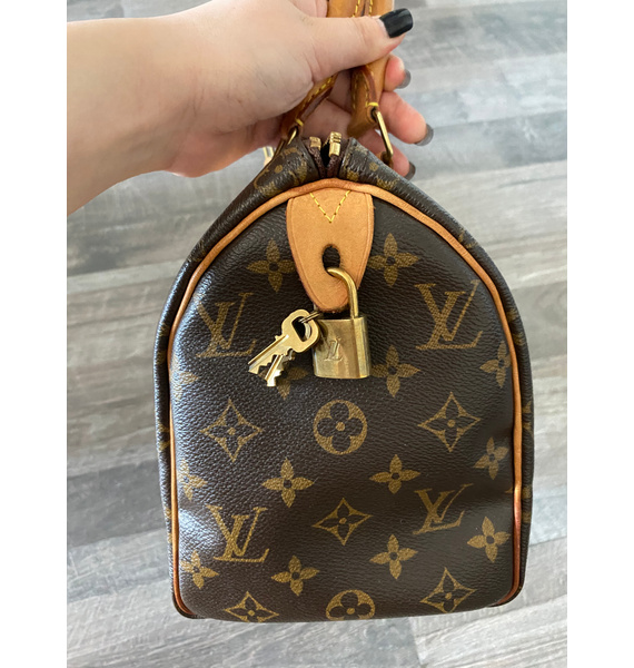Сумка • Louis Vuitton • Коричневый