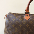 Сумка • Louis Vuitton • Коричневый