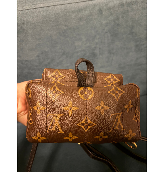 Рюкзак • Louis Vuitton • Коричневый