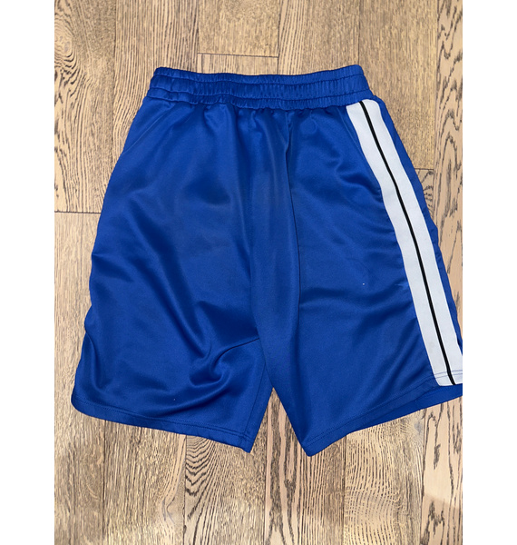 Шорты • Palm Angels • Голубой